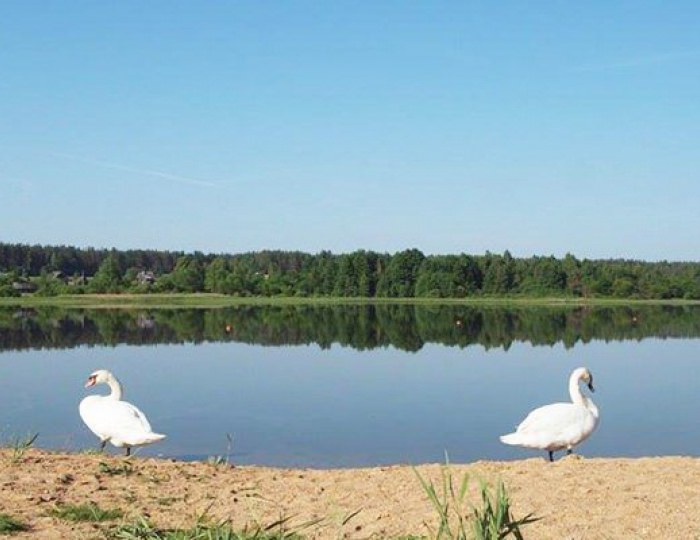 Услуги, развлечения и спорт - Санаторий «Боровое»