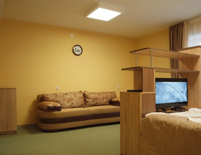 Стандарт 1-местный (без балкона) корпус 2 - Санаторий «Боровое»